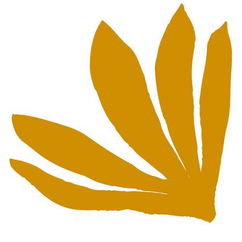 Boost Organizing, Regio Eindhoven