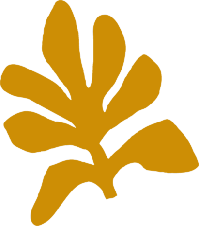 Boost Organizing - Regio Eindhoven